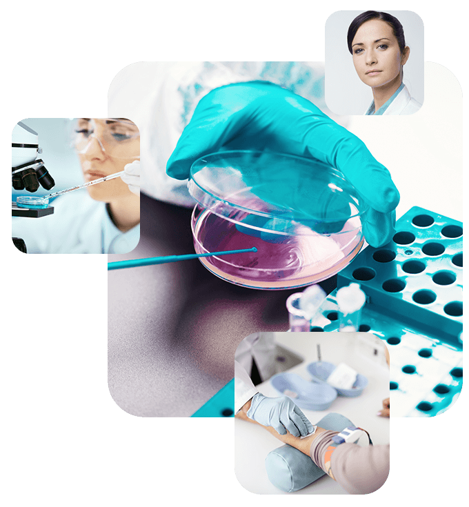https://certusdna.com/wp-content/uploads/2020/04/experience_02.png